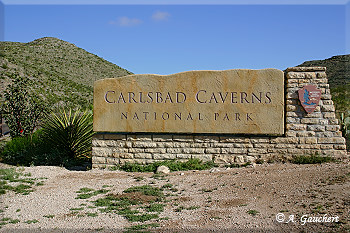 Carlsbad Caverns